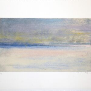 Carmen Laffón, Visiones de un paisaje 9, 2013