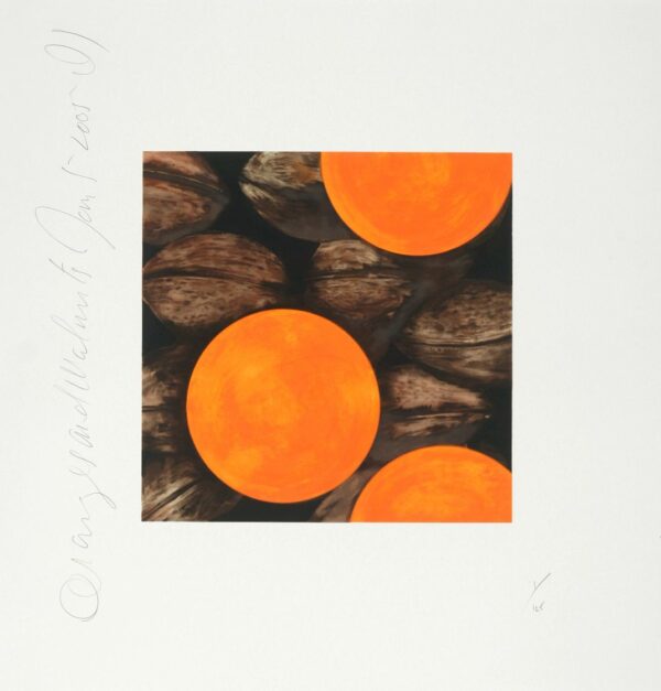 Donald Sultan, Oranges and Walnuts, 2005