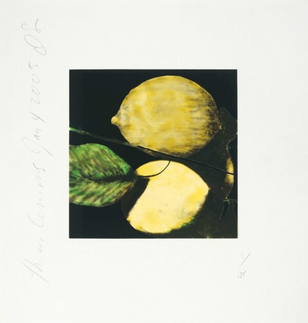 Donald Sultan, Three Lemons, 2005