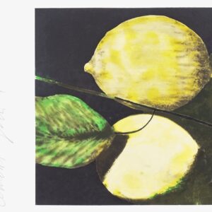 Donald Sultan, Three Lemons, 2005, detail