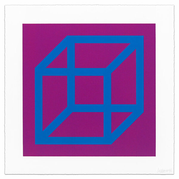 Sol Lewitt, Open Cube in Color on Color, plate 13, 2003