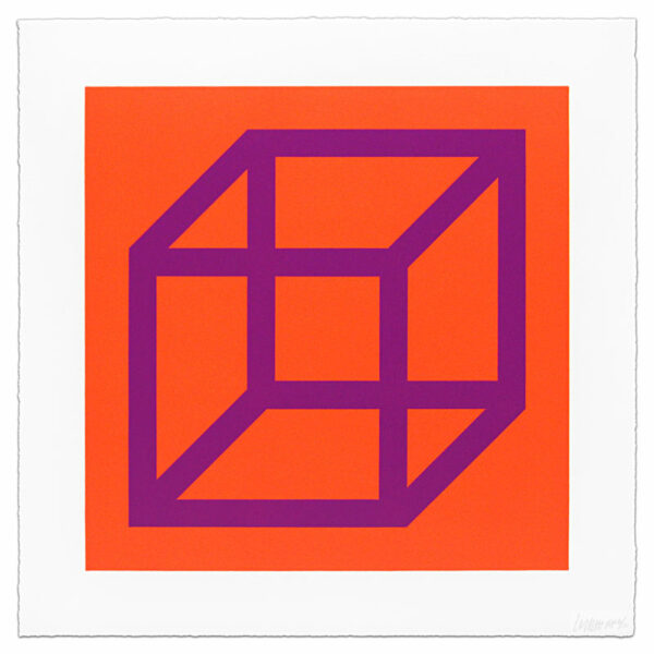 Sol Lewitt, Open Cube in Color on Color, plate 29, 2003