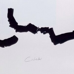 Detalle con el título en la serigrafía con collage de Rafael Canogar, Cibeles, 2025