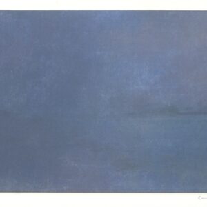 Carmen Laffón, Visiones de un paisaje 19, 2013